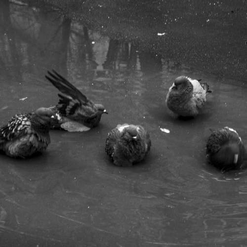 Фотография #11796322