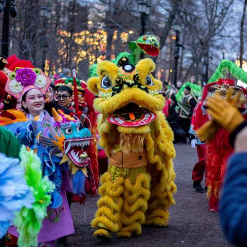Photo #11796534