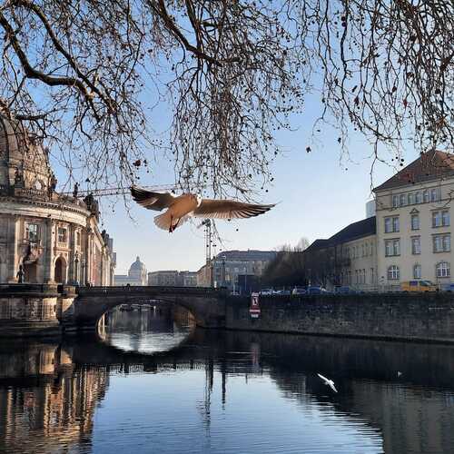 Photo #11796555
