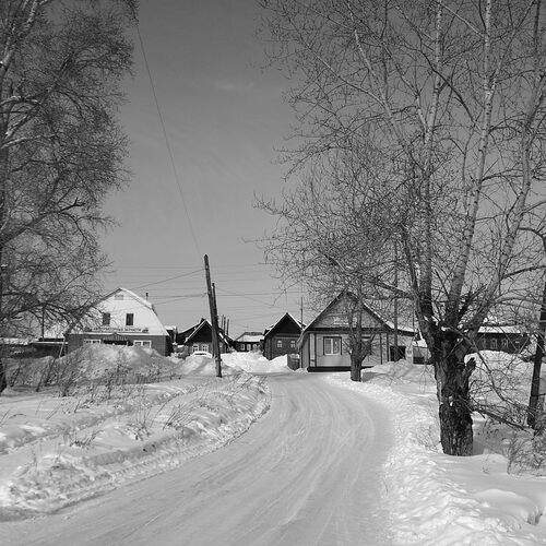 Photo #11796570