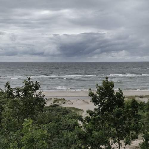 Photo #11796592