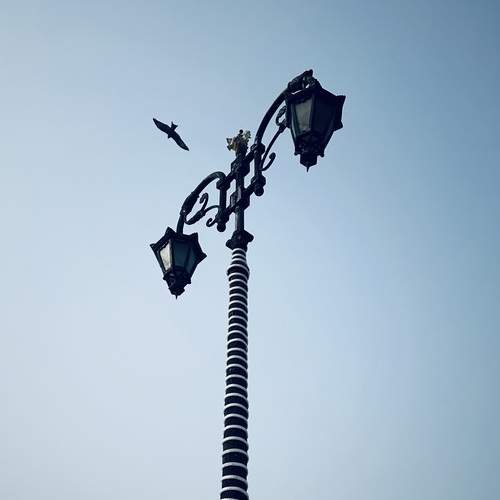 Photo #11796671