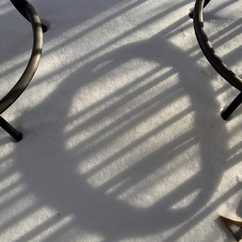 Photo #11796876
