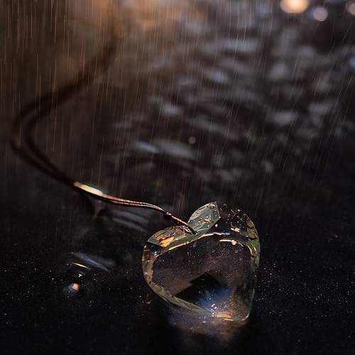 Photo #11796921