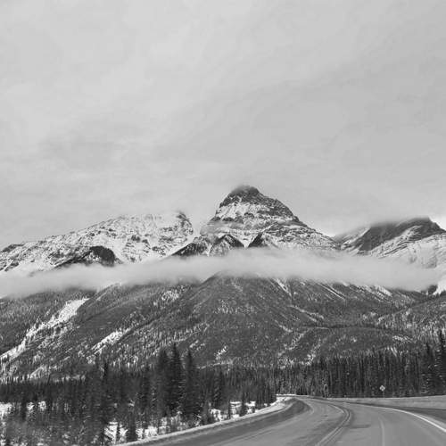 Photo #11796925