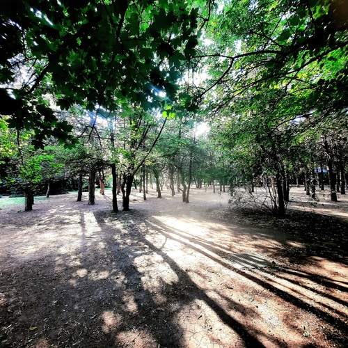 Photo #11797165
