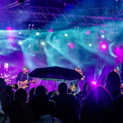Photo #11797202