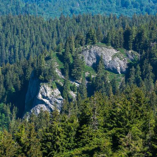 Photo #11797279