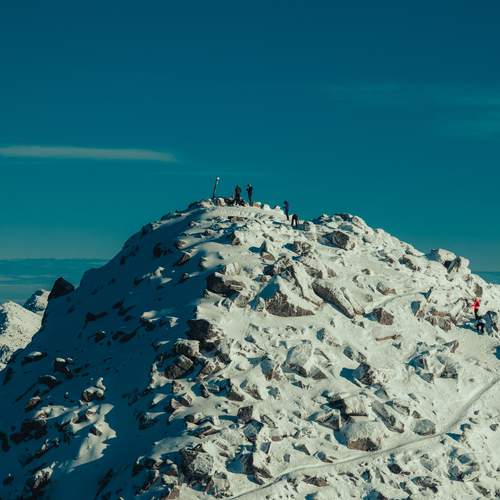 Photo #11797330