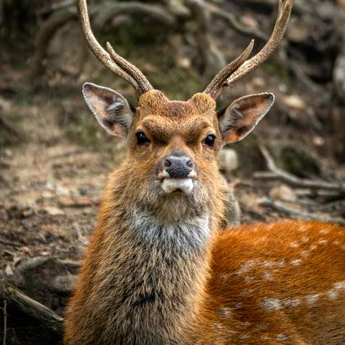 Photo #11797342