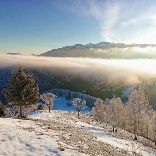 Photo #11797348
