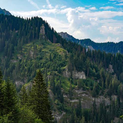 Photo #11797448