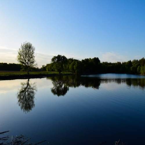 Photo #11797472