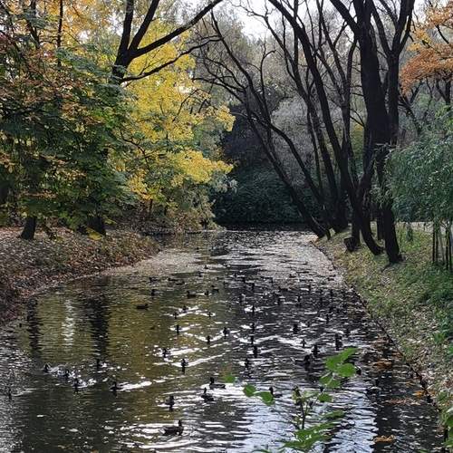 Photo #11797515
