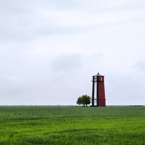 Photo #11797525