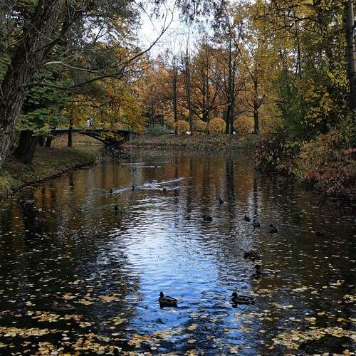Photo #11797674