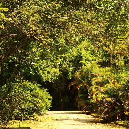 Photo #11797901