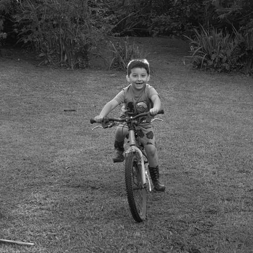 Photo #11798094