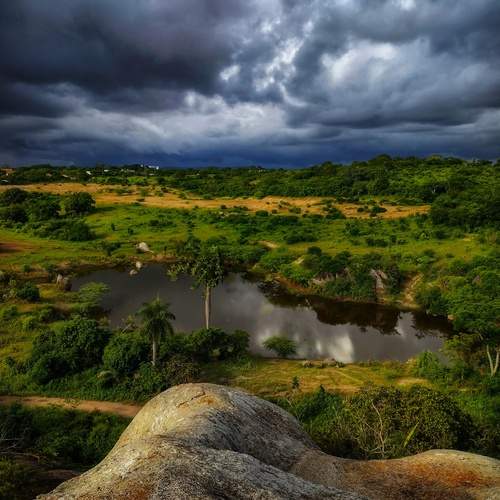 Photo #11798096