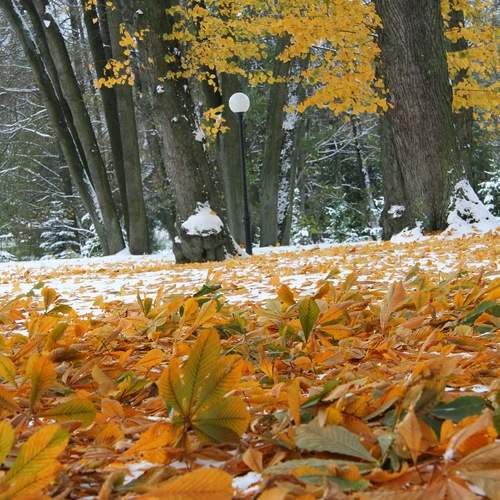 Photo #11798141