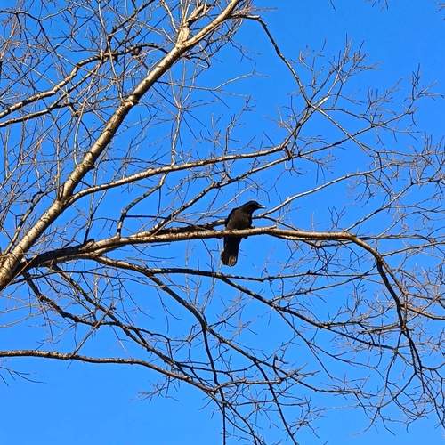Photo #11798190