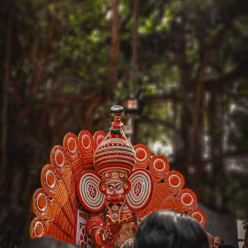 Photo #11798399