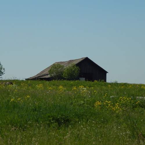 Photo #11798429