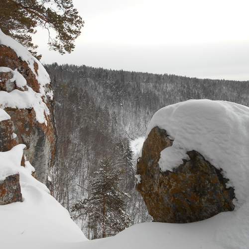 Photo #11798434