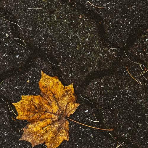 Photo #11798492