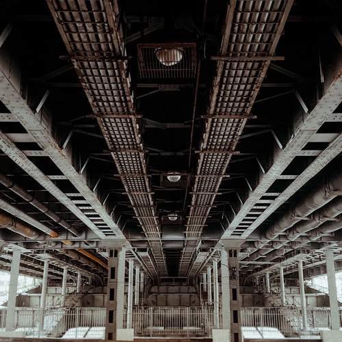 Photo #11798493