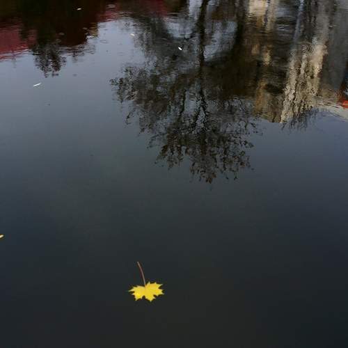 Photo #11798569