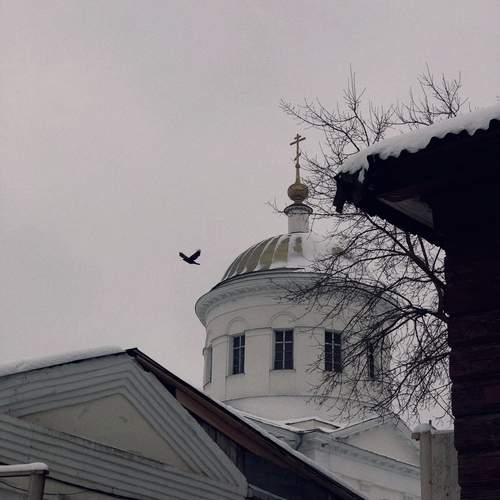 Photo #11798709