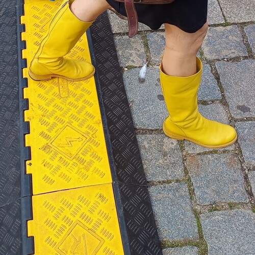 Photo #11798711