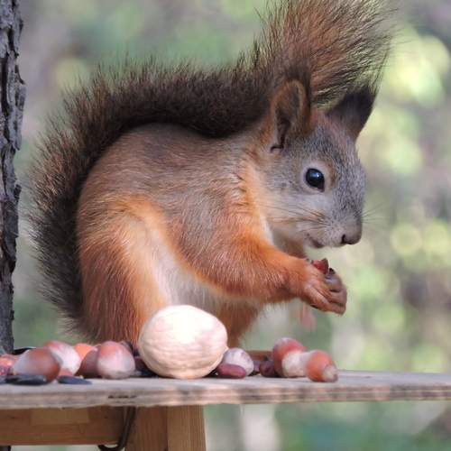 Photo #11798823
