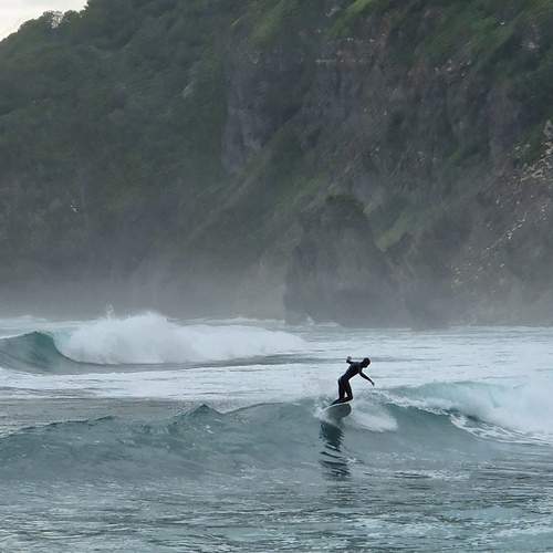 Photo #11798897