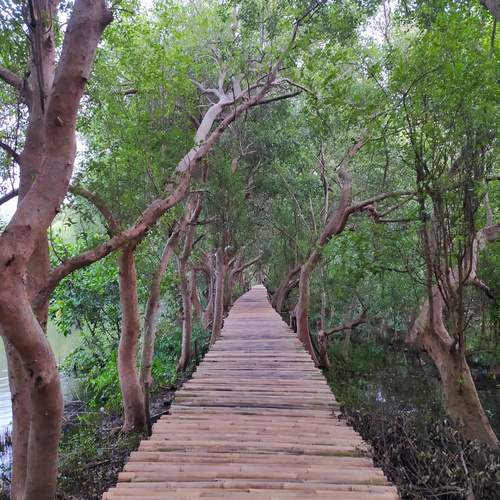 Photo #11799107