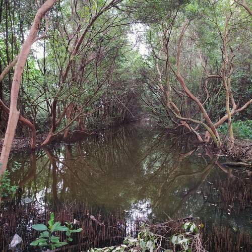 Photo #11799124