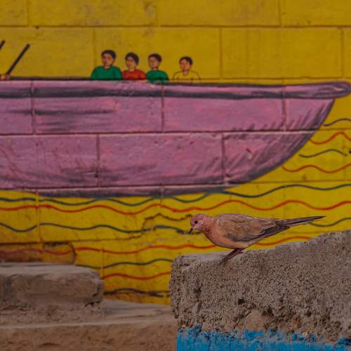 Symmetry between urban and nature