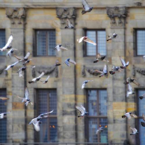 Photo #11799568