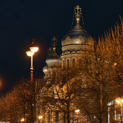 Photo #11799594