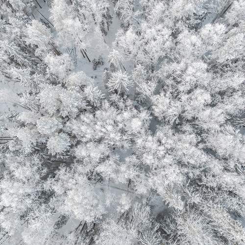 Photo #11799743