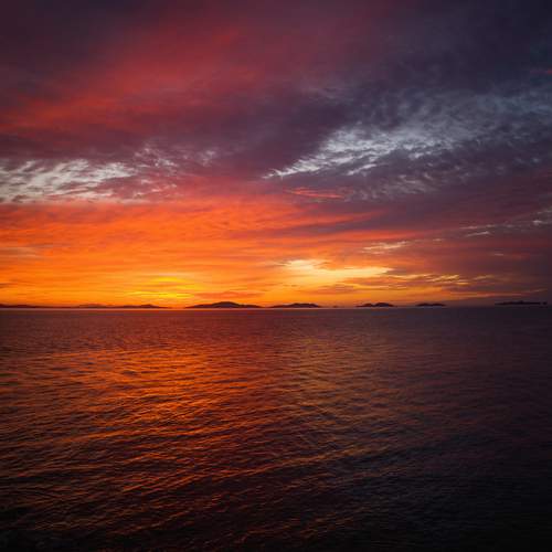 Photo #11799938