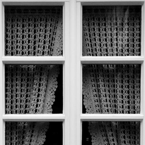 Window