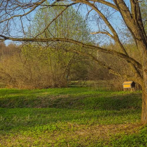 Photo #11800054