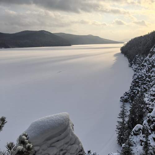 Photo #11800058