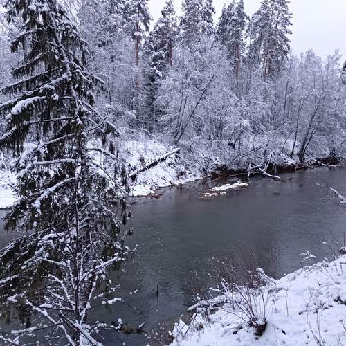 Photo #11800145