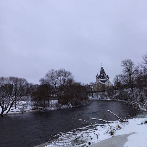 Photo #11800190
