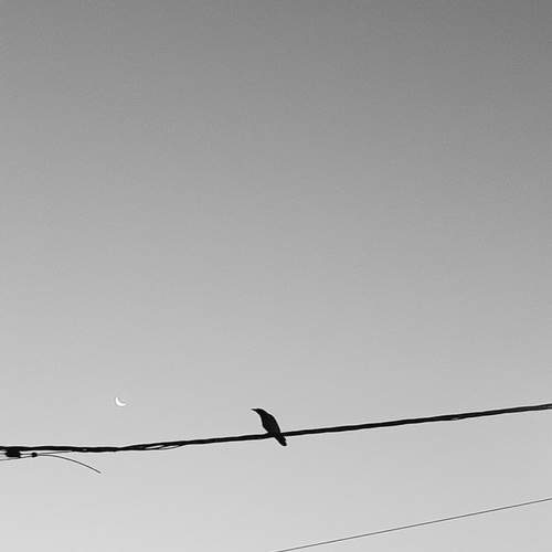 Photo #11800663