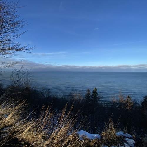 Photo #11800874