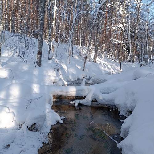Photo #11800992
